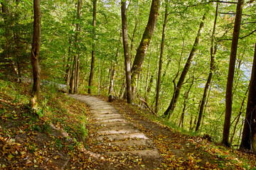 Stairway in a mountain park