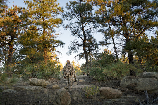 Elk Hunting in Colorado