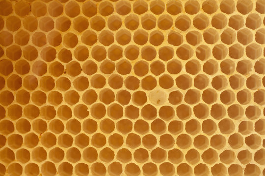 Honeycomb