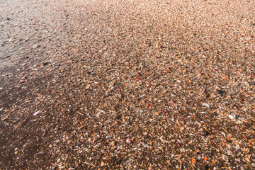Beautiful Sand at Tropical Beach 