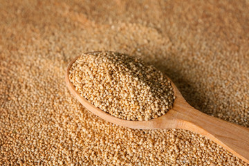 Spoon with quinoa on seeds