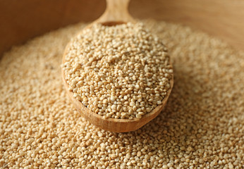 Spoon with quinoa on seeds, closeup