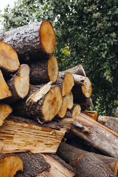 Split logs ready for the fireplace