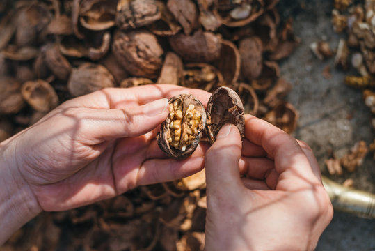 Opening cracked walnut