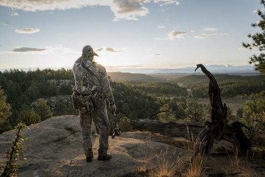 Elk Hunting in Colorado