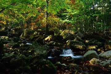 The mountain fountain flows under autumn with the coloring leaves of the trees.