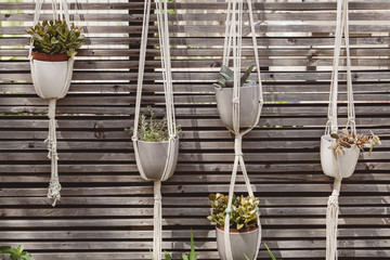 Row of hanging macrame plant holders