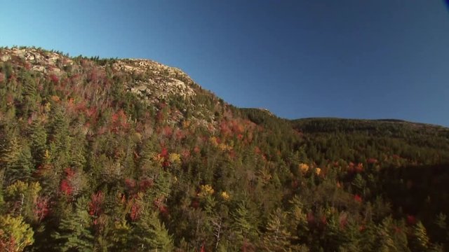 Autumn forest on Parkman Mountain, aerial