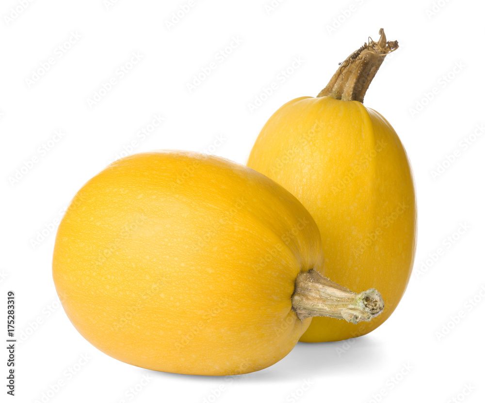 Poster ripe spaghetti squashes on white background