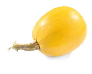 Ripe spaghetti squash on white background