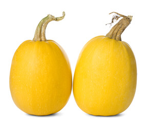 Ripe spaghetti squashes on white background