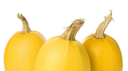 Ripe spaghetti squashes on white background
