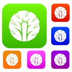 Fresh slice of broccoli set color collection