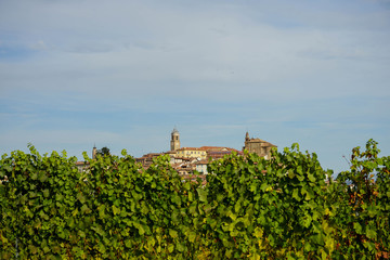 Fototapeta na wymiar View of La Morra, Piedmont