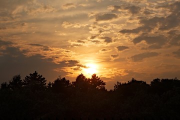 Sunset over trees