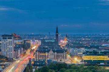 Fototapeta na wymiar Main road and street lights of Copenhagen, skyline at night
