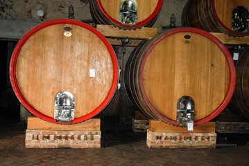 Barrels in a wine cellar