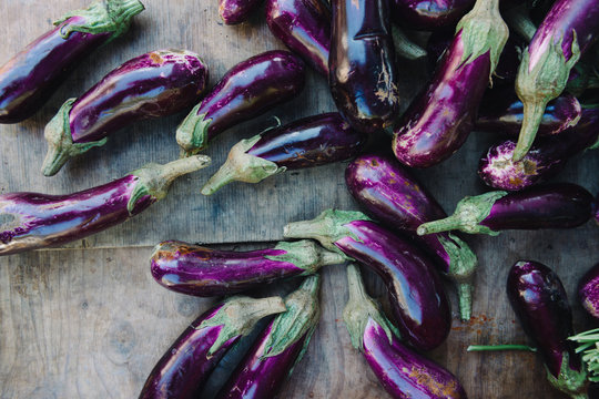Organic aubergine background