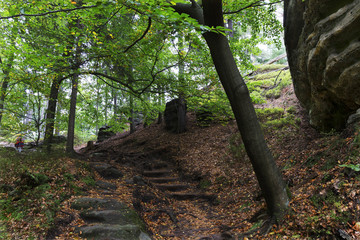 Wild autumn Landscape in the Czech Switzerland, Czech Republic