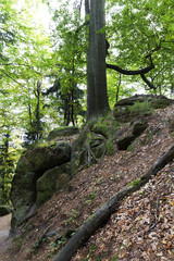 Wild autumn Landscape in the Czech Switzerland, Czech Republic