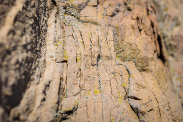 Sedimentary rock. Structure of natural stone. Background. Shallow depth of field. Focus on the center.
