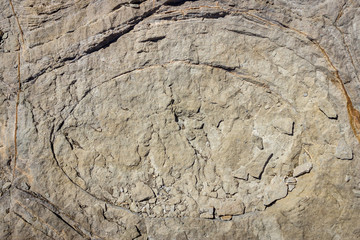 Sedimentary rock. Structure of natural stone. Background.