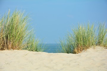 Blick durch Sanddünen zum Meer an der Nordseeküste in den Niederlande