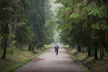 Cyclist on a bike in forest. 