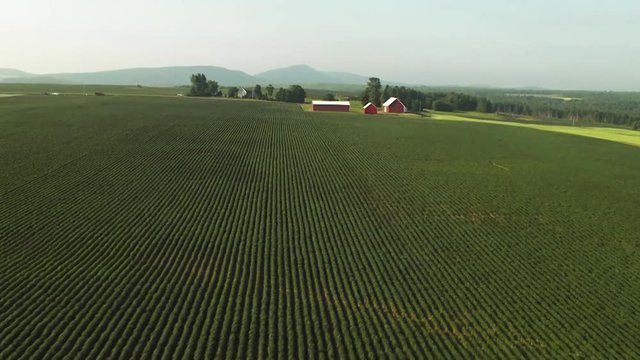 Vast barn landscape in Aroostook County, aerial