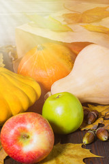 Autumn nature concept. Fall pumpkins and apples on wooden rustic table. Thanksgiving dinner