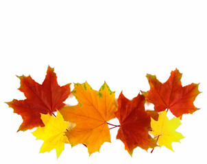 Fototapeta na wymiar Colorful autumn maple leaves isolated on white background