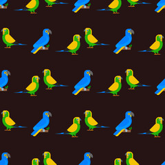 Parrots birds seamless pattern animal nature tropical parakeets education colorful pet vector illustration