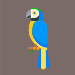 Parrot bird blue breed species animal nature tropical parakeets education colorful pet vector illustration