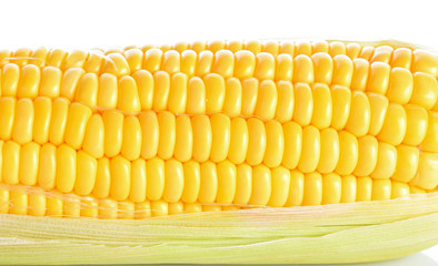 Sweet corn on a white background