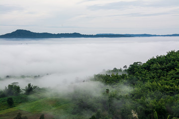 Mountains with trees and fog in thailand
