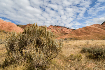 Red Stone Hills in Teton National Forest