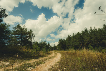 Fototapeta na wymiar The country road runs along the agricultural fields and pine coniferous forests on a flat hill in the mainland region of the Crimea along the hiking trail to the Grand Canyon amidst white clouds.