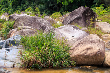 Fototapeta premium Stones Polished by Mountain River among Grass