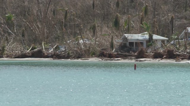 Post Hurricane Irma 2017 devastation, Gibney Beach, St John, United States Virgin Islands