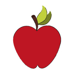 Apple delicious fruit icon vector illustration graphic design
