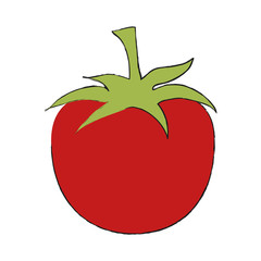 Tomato fresh vegetable icon vector illustration graphic design