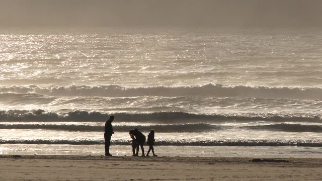 An unrecognizable family of four walk the sandy beach looking for seashells on the Oregon Coast.