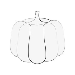 Pumpkin fresh vegetable icon vector illustration graphic design