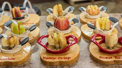 Tasting different varieties of apples at the orchard farm store