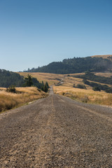 Dried Grasses Flank Gravel Road