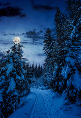 path through spruce forest in winter. beautiful nature scenery with snowy trees at night in full...