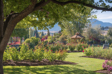 Obraz premium Beautiful rose garden and public city park with gazebo