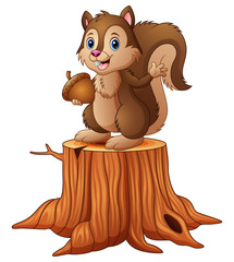 Cartoon squirrel standing on tree stump holding an acorn © dreamblack46