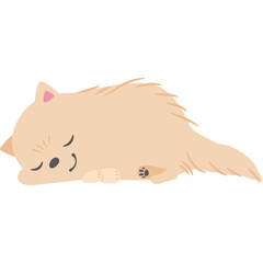 寝ている犬（ポメラニアン）