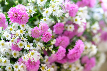 Fototapeta premium Bunch of flowers